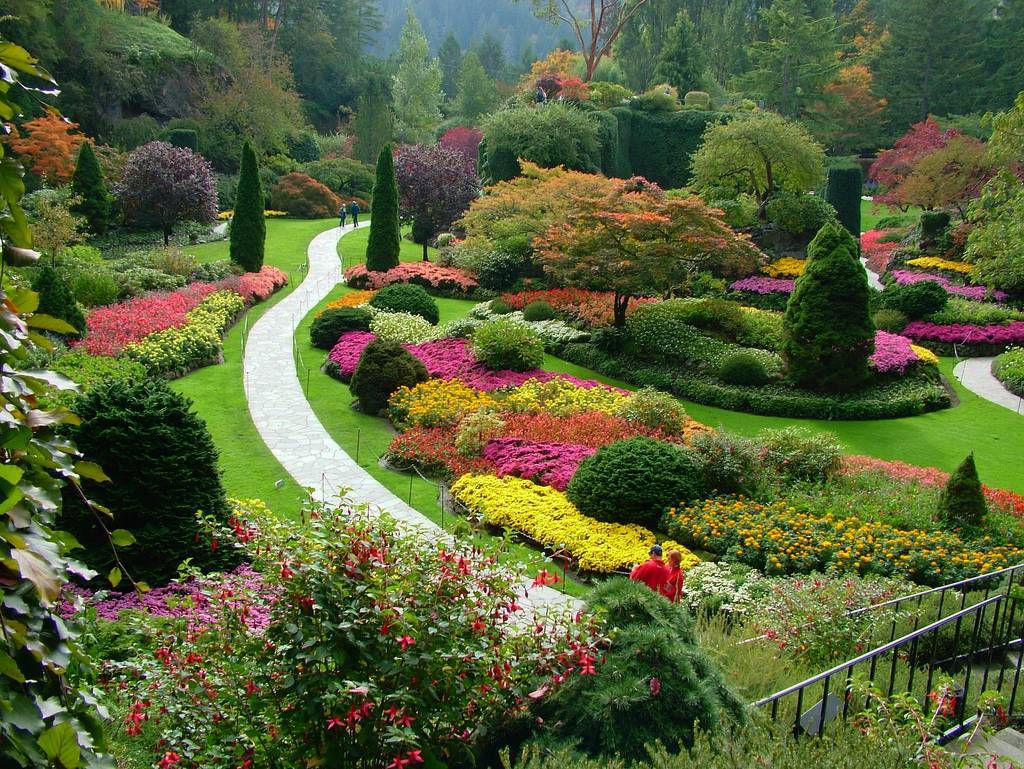 Ландшафтный дизайн: эко или сад в диком природном стиле (натургарден), естественный ландшафт на участке, его фото и особенности оформления