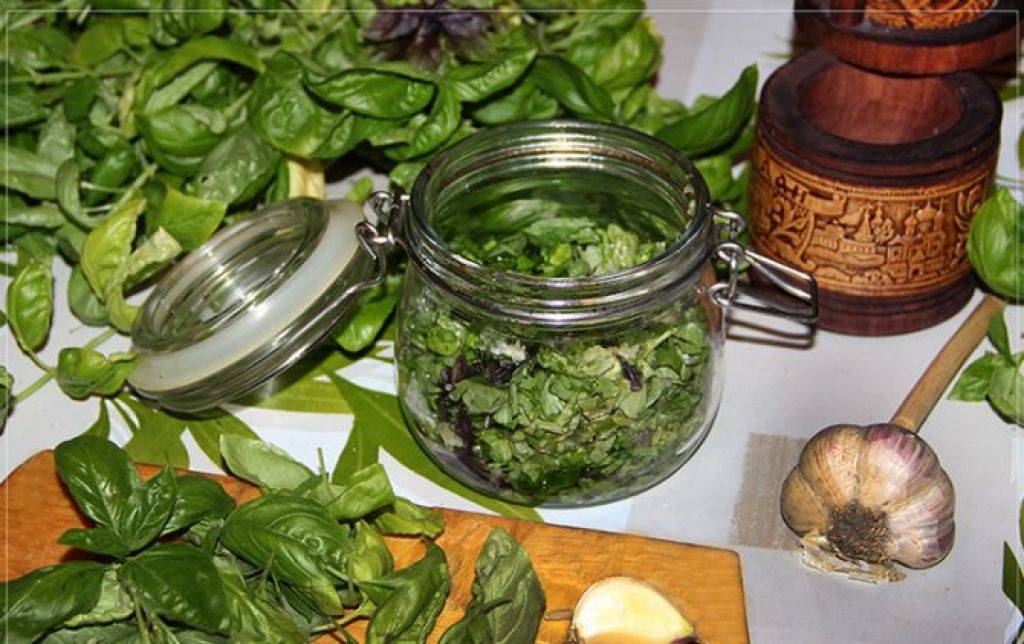 Как заготовить базилик на зиму чтобы сохранить витамины? – zelenj.ru – все про садоводство, земледелие, фермерство и птицеводство