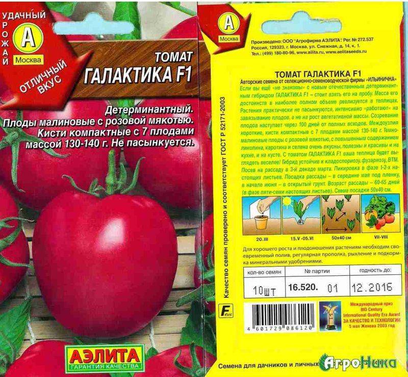 Томаты "фаворит f1": описание сорта, характеристики, фото помидоров