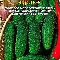Огурцы эколь f1: правила выращивания урожайного гибрида