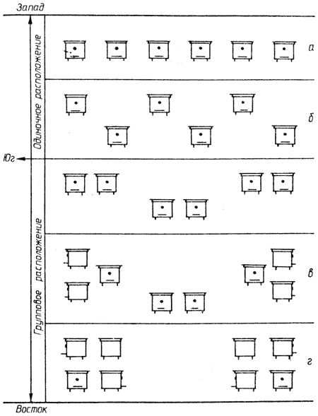 Схема размещения ульев
