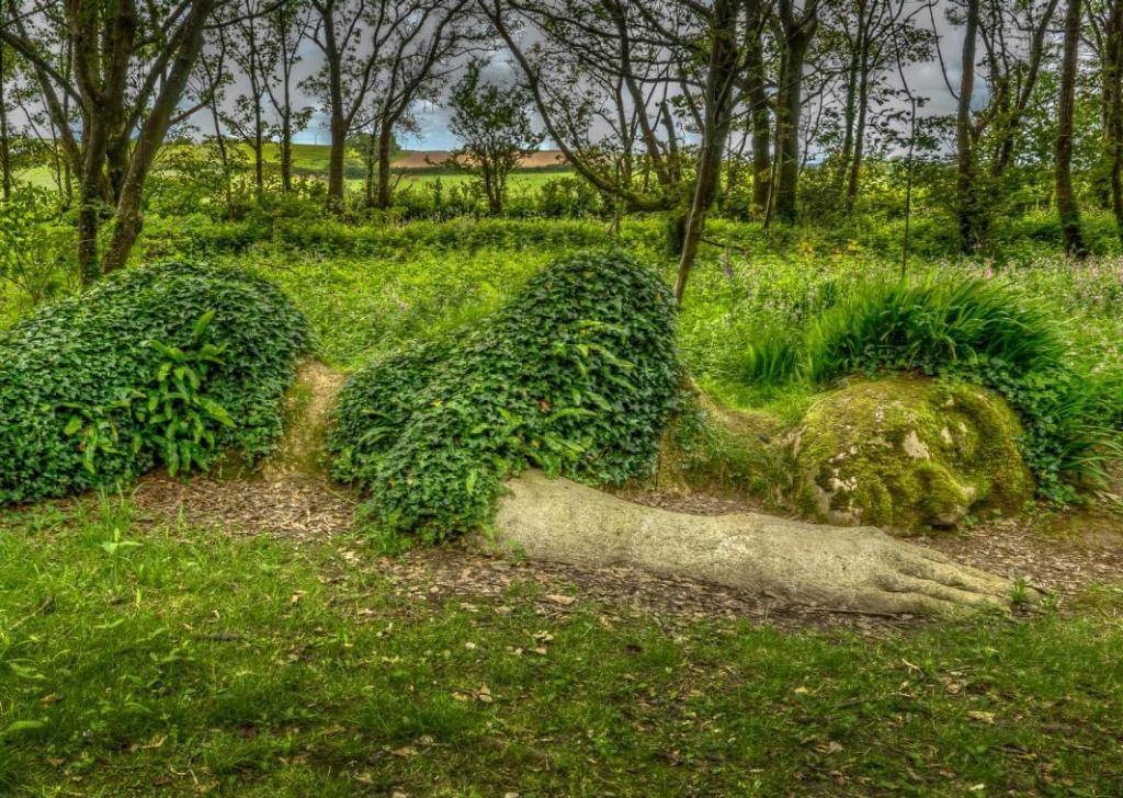 Затерянные сады хелигана, великобритания: фото, история, описание, как добраться