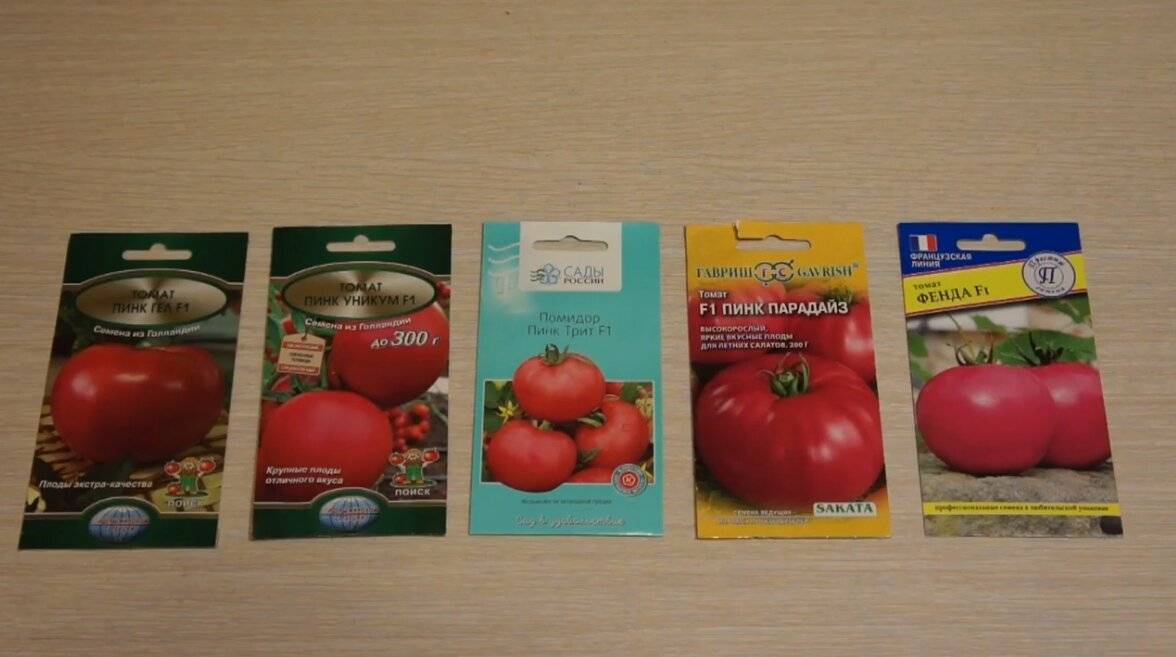 Характеристика гибридов томат «пинк парадайз f1». отзывы на основе отзывов и фото куста – все о томатах. выращивание томатов. сорта и рассада.