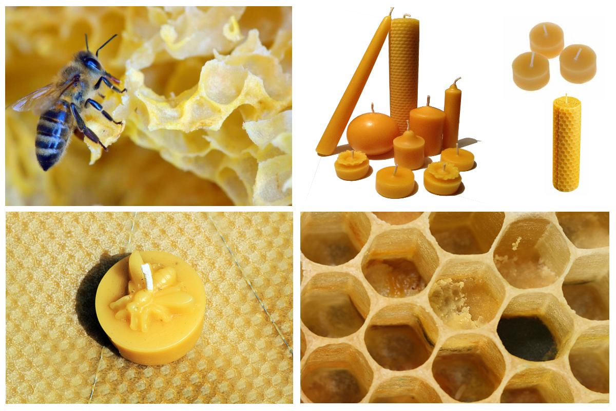 Свечи из пчелиного воска: безопасная альтернатива вредным парафиновым и гелевым свечам.