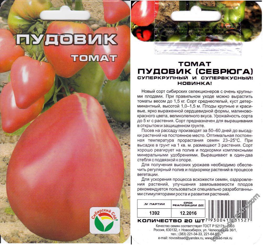 Томат даренка: характеристика и описание сорта, отзывы об урожайности помидоров, фото куста
