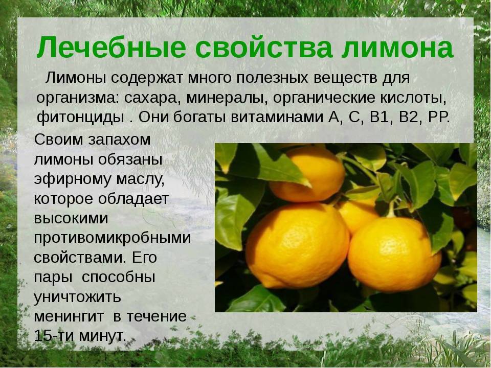 ?лимон: полезные свойства и состав | food and health