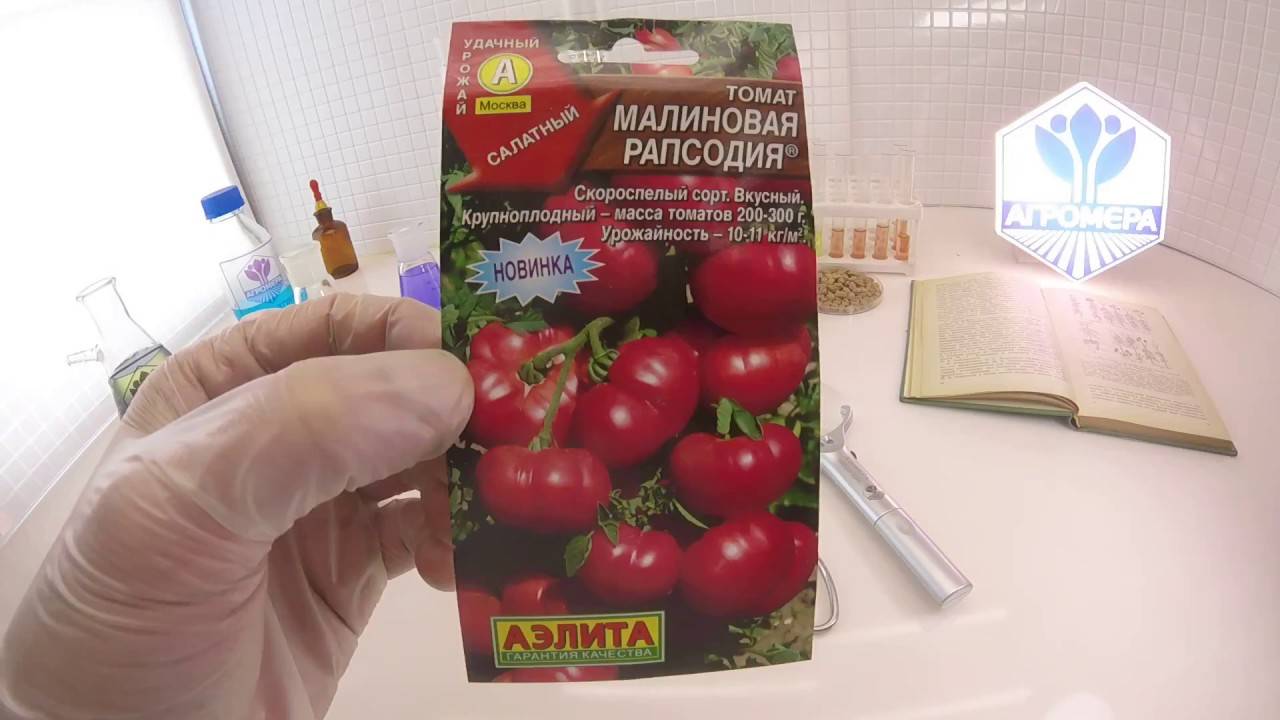 Характеристики отличных гибридных томатов серии «золотое малиновое чудо»