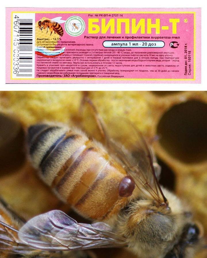 Бипин: инструкция по применению, отзывы пчеловодов