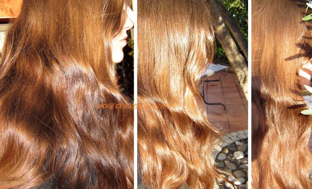 Как покрасить волосы ромашкой и липой
