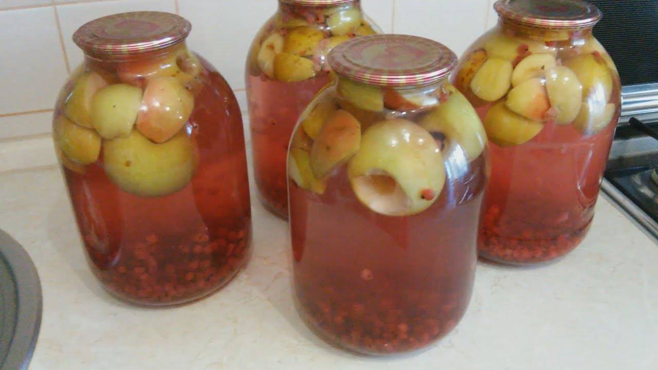 Готовим компот из яблок на зиму: 14 вкусных рецептов +отзывы